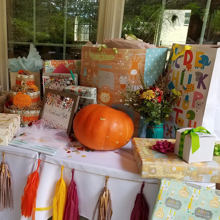 Baby shower at Hidden View Farm in Annapolis, Maryland.