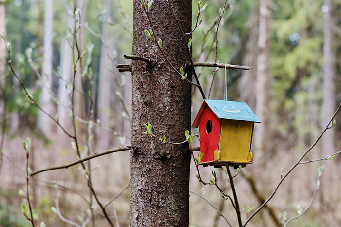 Handmade birdhouse on a tree.
